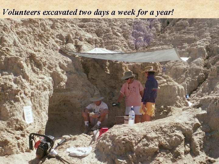 Volunteers excavated two days a week for a year! 