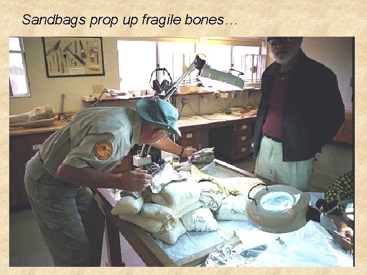 Sandbags prop up fragile bones… 