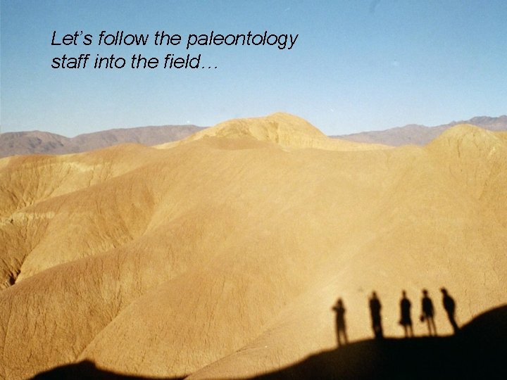 Let’s follow the paleontology staff into the field… 