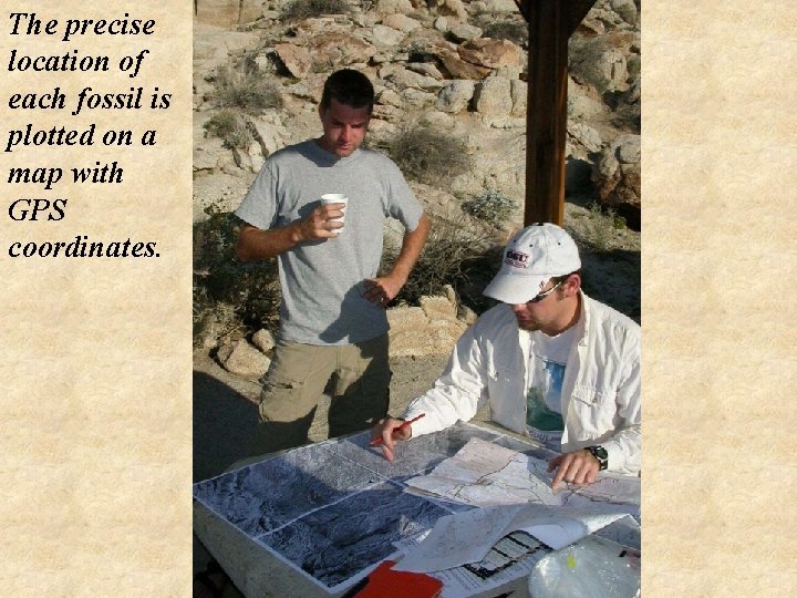 The precise location of each fossil is plotted on a map with GPS coordinates.