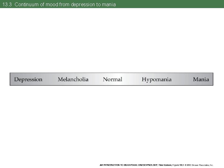 13. 3 Continuum of mood from depression to mania 
