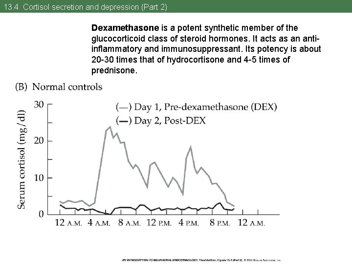 13. 4 Cortisol secretion and depression (Part 2) Dexamethasone is a potent synthetic member