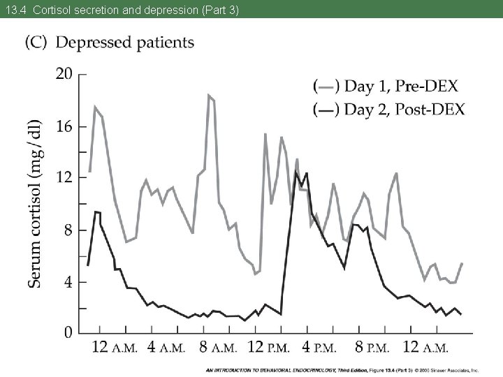 13. 4 Cortisol secretion and depression (Part 3) 