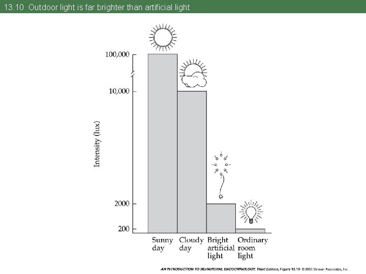 13. 10 Outdoor light is far brighter than artificial light 
