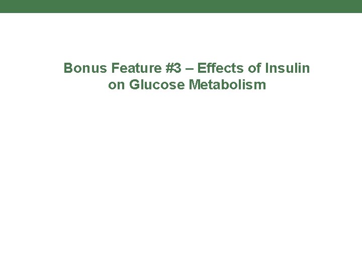 Bonus Feature #3 – Effects of Insulin on Glucose Metabolism 