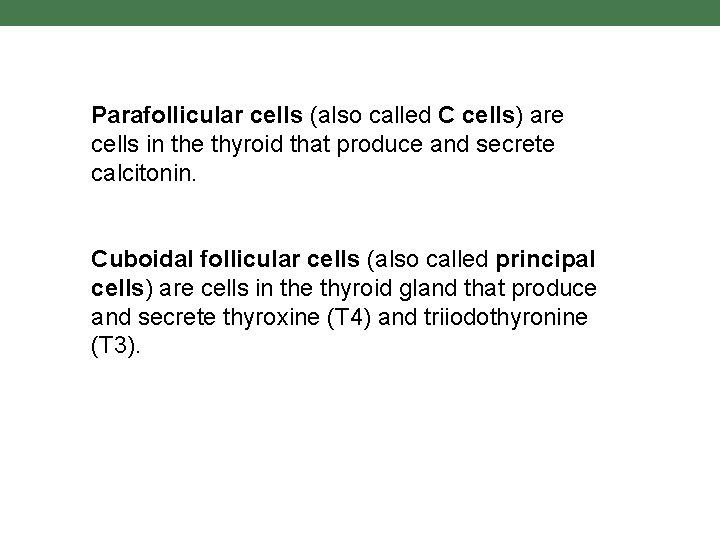 Parafollicular cells (also called C cells) are cells in the thyroid that produce and