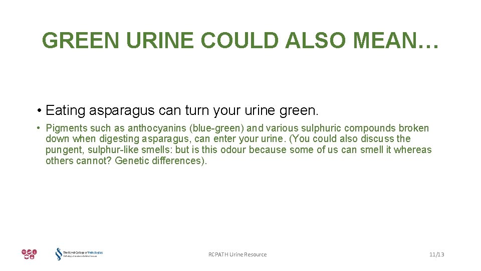 GREEN URINE COULD ALSO MEAN… • Eating asparagus can turn your urine green. •