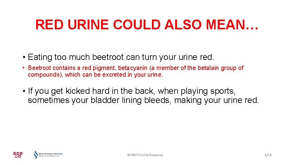 RED URINE COULD ALSO MEAN… • Eating too much beetroot can turn your urine