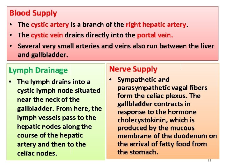 Blood Supply • The cystic artery is a branch of the right hepatic artery.