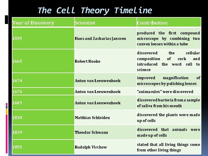 The Cell Theory Timeline Year of Discovery Scientist Contribution Hans and Zacharias Janssen produced