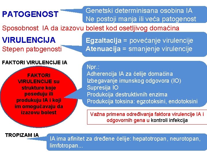 Genetski determinisana osobina IA Ne postoji manja ili veća patogenost Sposobnost IA da izazovu