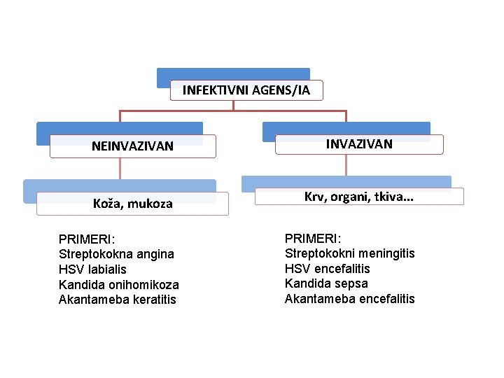 INFEKTIVNI AGENS/IA NEINVAZIVAN Koža, mukoza PRIMERI: Streptokokna angina HSV labialis Kandida onihomikoza Akantameba keratitis