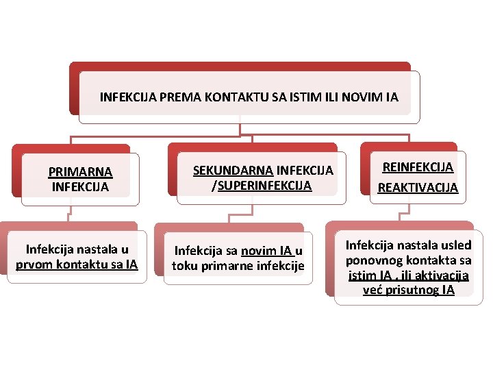 INFEKCIJA PREMA KONTAKTU SA ISTIM ILI NOVIM IA PRIMARNA INFEKCIJA Infekcija nastala u prvom