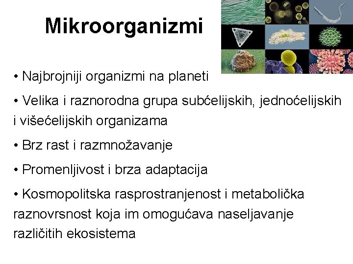 Mikroorganizmi • Najbrojniji organizmi na planeti • Velika i raznorodna grupa subćelijskih, jednoćelijskih i