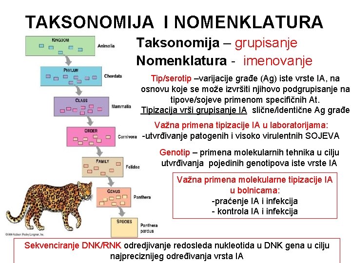 TAKSONOMIJA I NOMENKLATURA Taksonomija – grupisanje Nomenklatura - imenovanje Tip/serotip –varijacije građe (Ag) iste