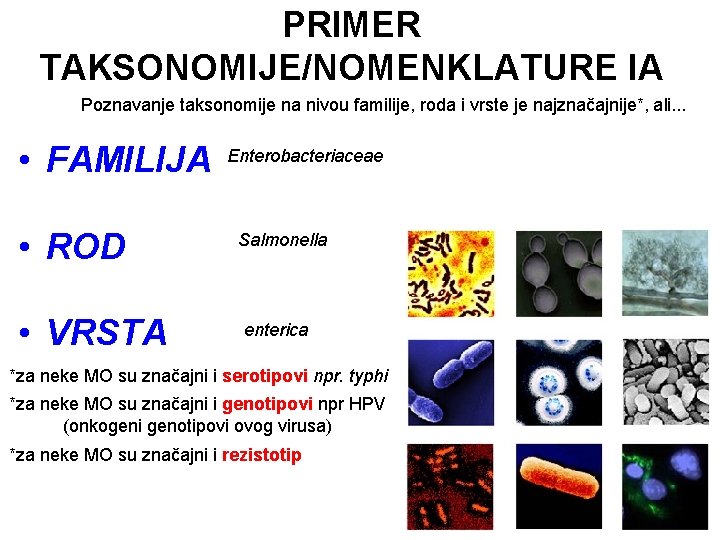 PRIMER TAKSONOMIJE/NOMENKLATURE IA Poznavanje taksonomije na nivou familije, roda i vrste je najznačajnije*, ali.