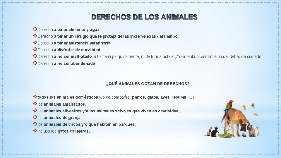 v. Derecho a tener alimento y agua. v. Derecho a tener un refugio que