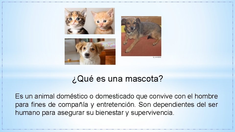 ¿Qué es una mascota? Es un animal doméstico o domesticado que convive con el