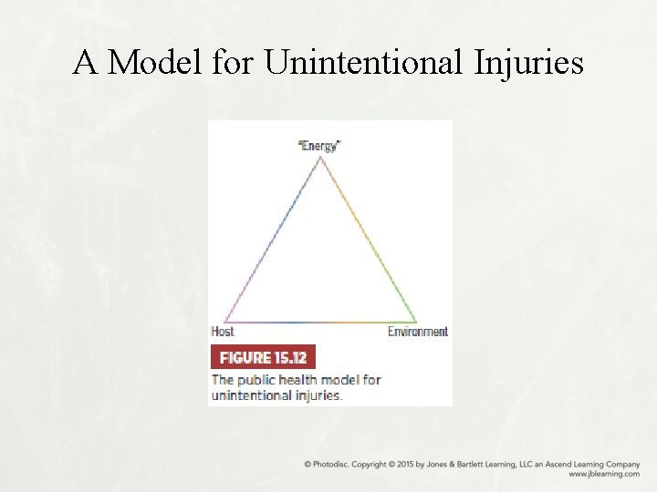A Model for Unintentional Injuries 