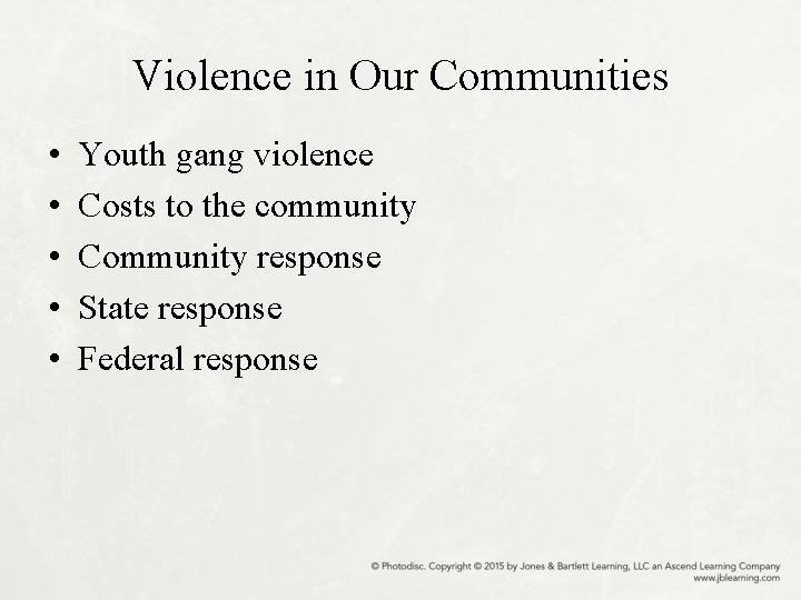 Violence in Our Communities • • • Youth gang violence Costs to the community