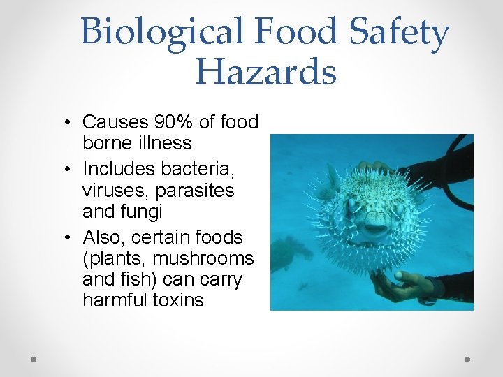 Biological Food Safety Hazards • Causes 90% of food borne illness • Includes bacteria,