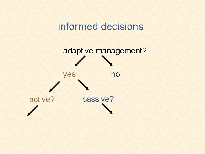 informed decisions adaptive management? yes active? no passive? 