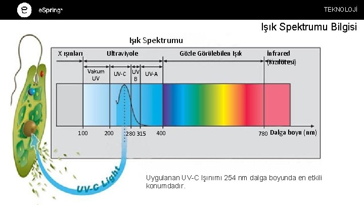 TEKNOLOJİ Işık Spektrumu Bilgisi Işık Spektrumu X ışınları Ultraviyole Vakum UV 100 Gözle Görülebilen