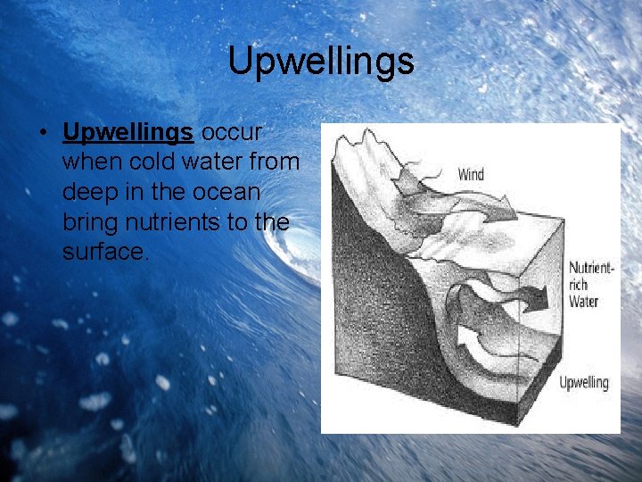Upwellings • Upwellings occur when cold water from deep in the ocean bring nutrients