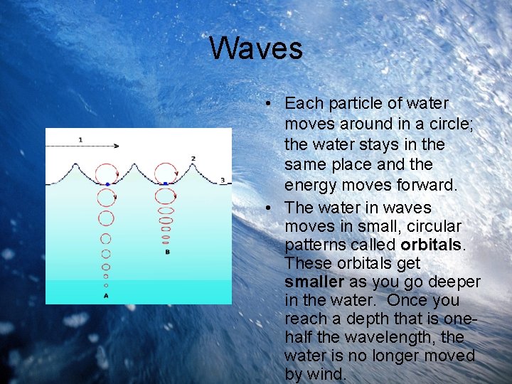 Waves • Each particle of water moves around in a circle; the water stays