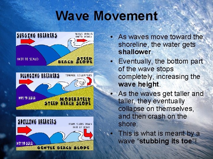 Wave Movement • As waves move toward the shoreline, the water gets shallower. •