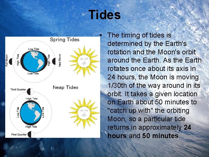 Tides • The timing of tides is determined by the Earth's rotation and the