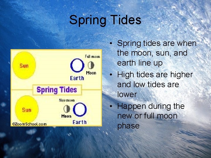 Spring Tides • Spring tides are when the moon, sun, and earth line up