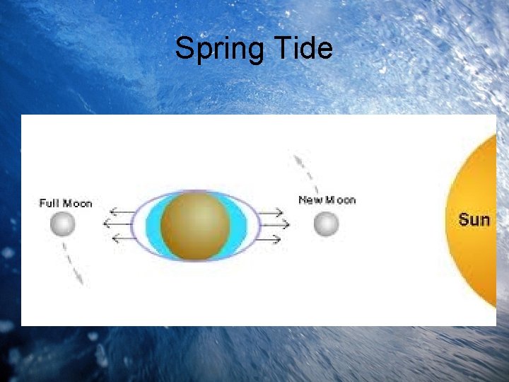 Spring Tide 