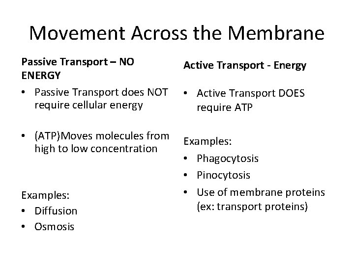 Movement Across the Membrane Passive Transport – NO ENERGY • Passive Transport does NOT