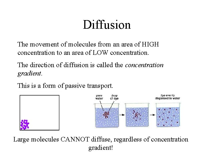 Diffusion The movement of molecules from an area of HIGH concentration to an area