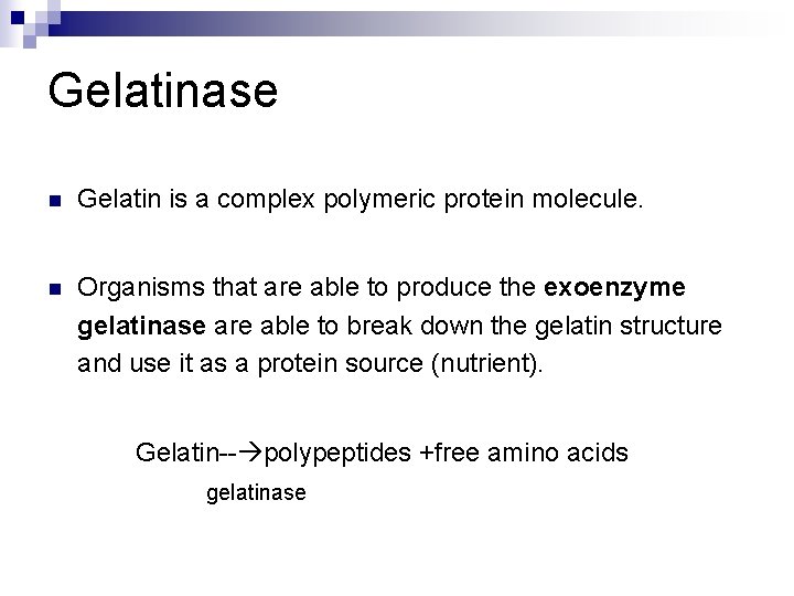Gelatinase n Gelatin is a complex polymeric protein molecule. n Organisms that are able