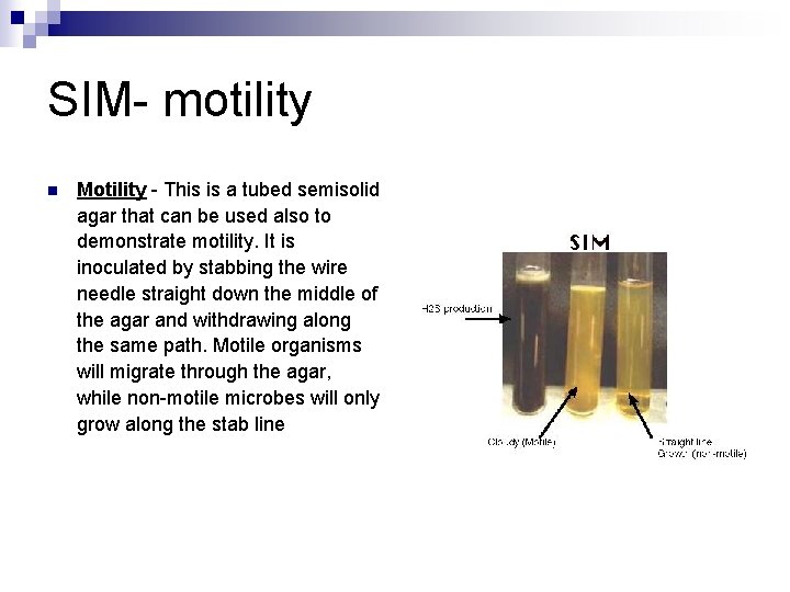 SIM- motility n Motility - This is a tubed semisolid agar that can be