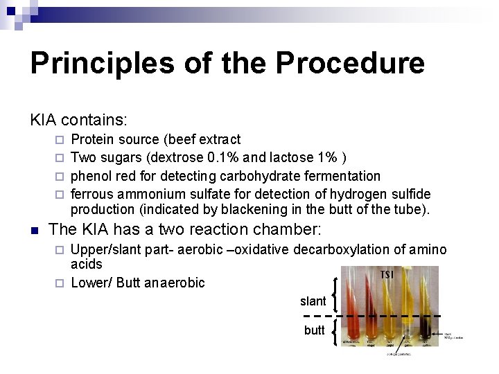 Principles of the Procedure KIA contains: Protein source (beef extract ¨ Two sugars (dextrose