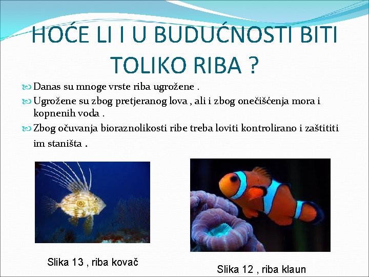 HOĆE LI I U BUDUĆNOSTI BITI TOLIKO RIBA ? Danas su mnoge vrste riba