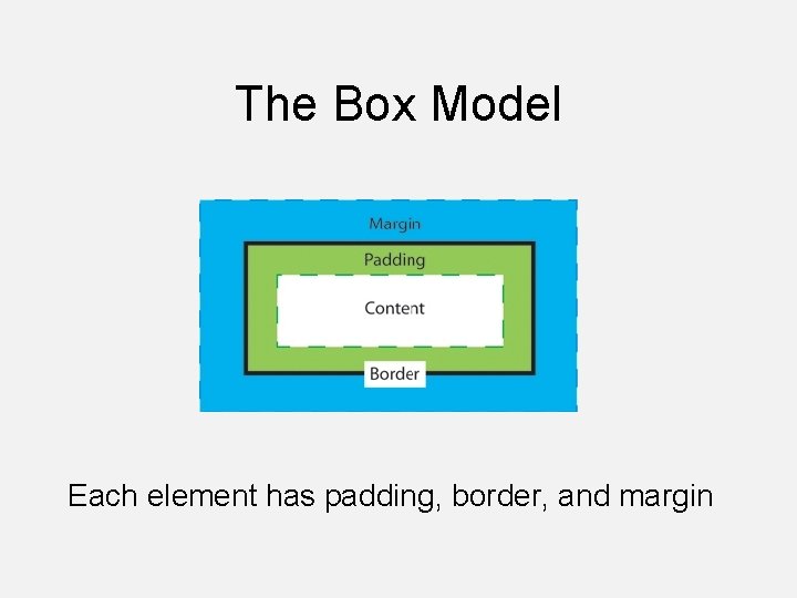 The Box Model Each element has padding, border, and margin 