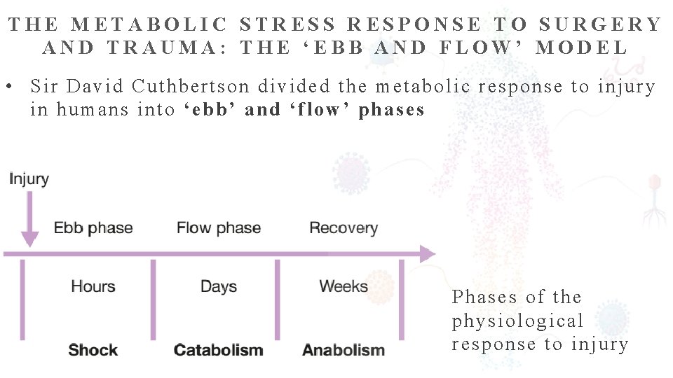 THE METABOLIC STRESS RESPONSE TO SURGERY AND TRAUMA: THE ‘EBB AND FLOW’ MODEL •