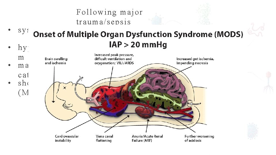 Following major trauma/sepsis • systemic inflammatory response syndrome (SIRS) • hypermetabolis m • marked