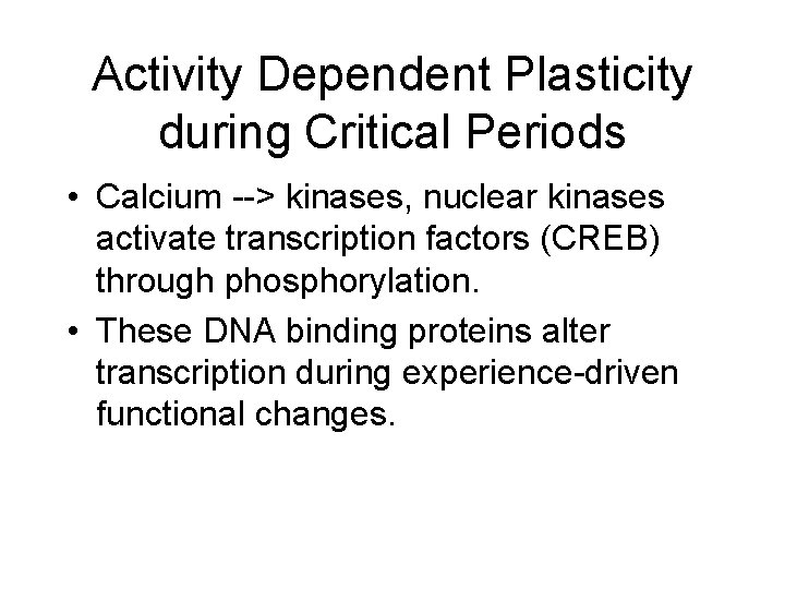 Activity Dependent Plasticity during Critical Periods • Calcium --> kinases, nuclear kinases activate transcription