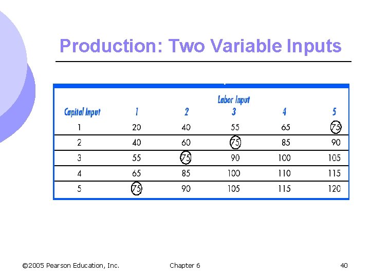 Production: Two Variable Inputs © 2005 Pearson Education, Inc. Chapter 6 40 