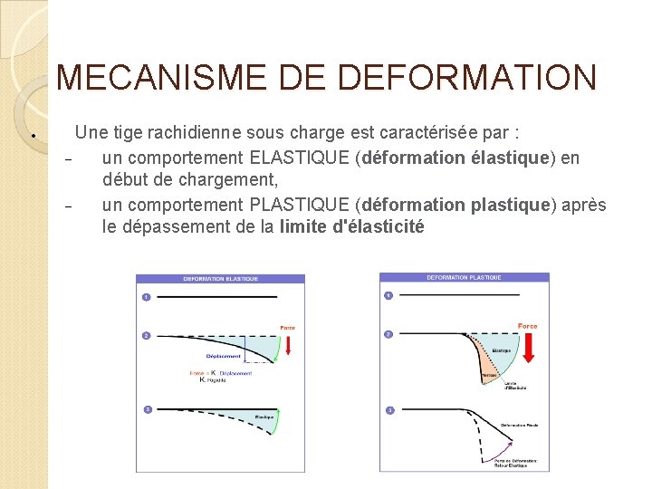 MECANISME DE DEFORMATION Une tige rachidienne sous charge est caractérisée par : un comportement