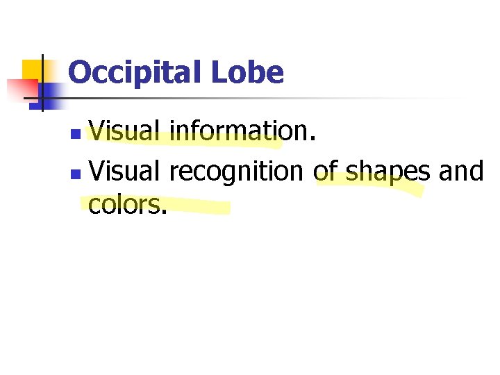 Occipital Lobe Visual information. n Visual recognition of shapes and colors. n 