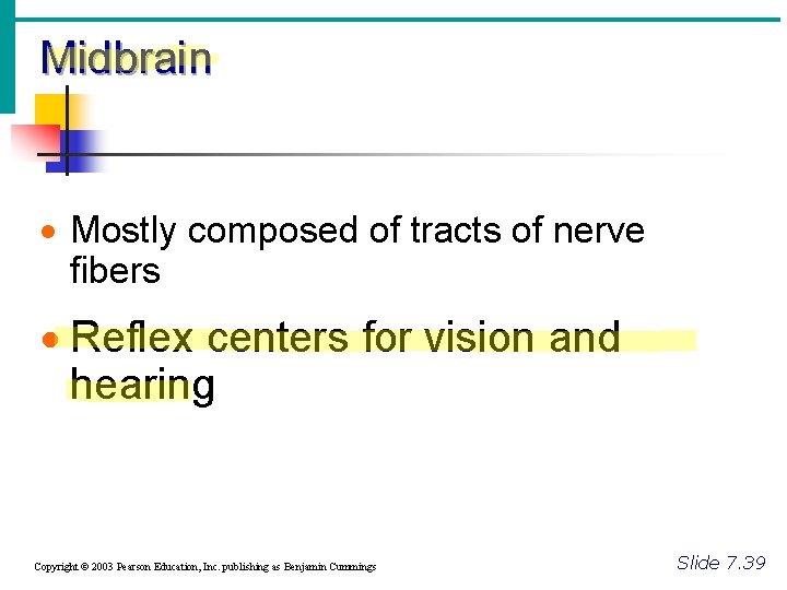 Midbrain · Mostly composed of tracts of nerve fibers · Reflex centers for vision