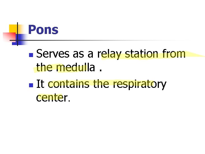 Pons Serves as a relay station from the medulla. n It contains the respiratory