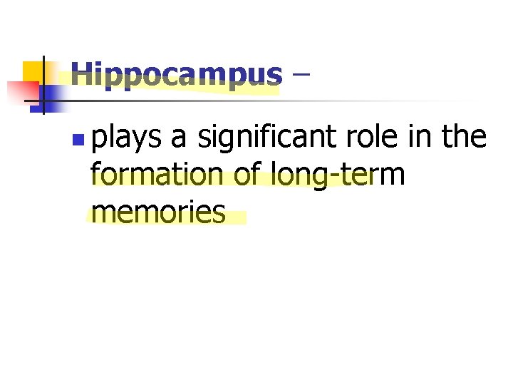 Hippocampus – n plays a significant role in the formation of long-term memories 