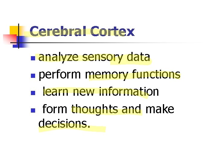 Cerebral Cortex analyze sensory data n perform memory functions n learn new information n